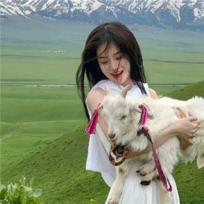 深夜小狗离奇事件